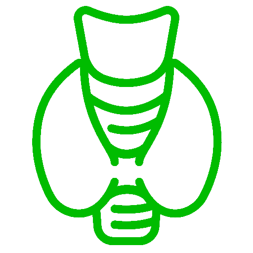 Эндокринология